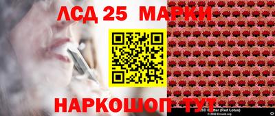шишки Братск