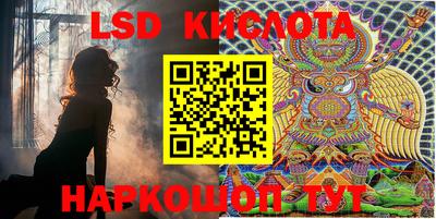 шишки Братск