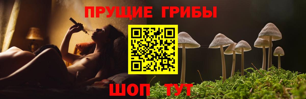 Псилоцибиновые грибы Cubensis  Галлюциногенные грибы Magic Shrooms  Ахтубинск  Вход с VPN 